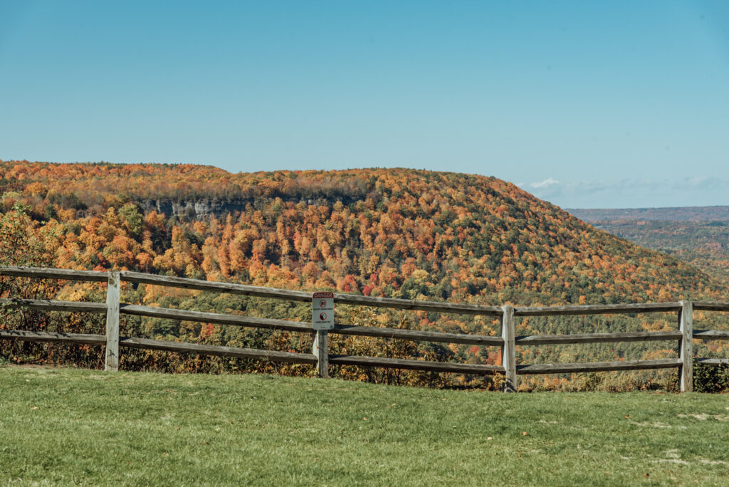 Albany fall foliage photographer