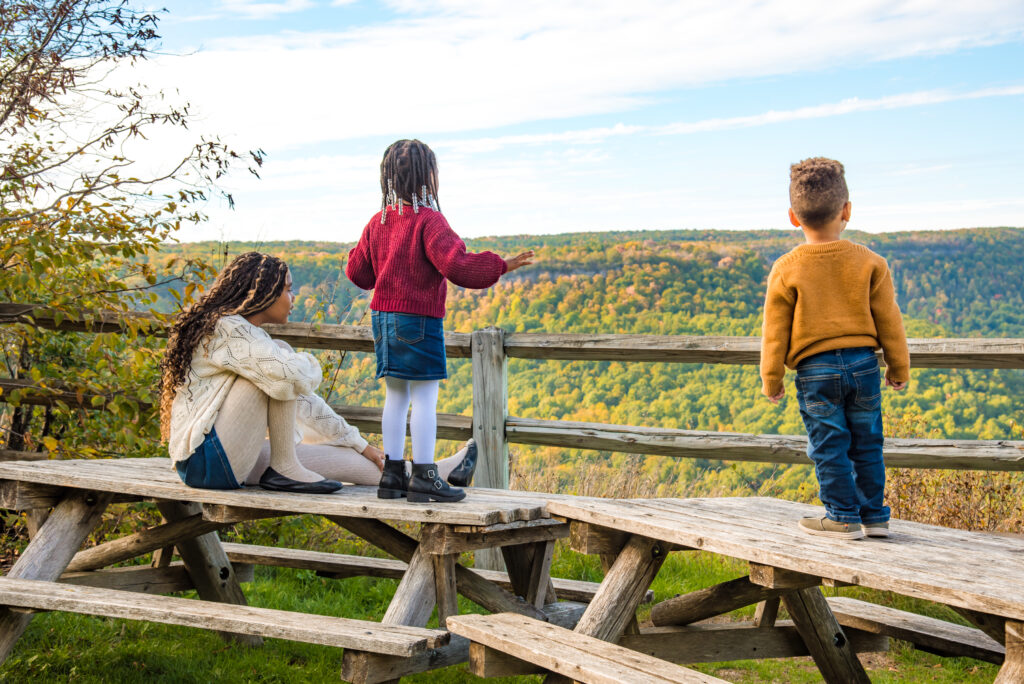 Albany fall foliage photographer