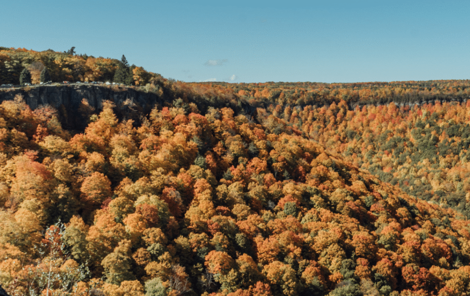 Albany fall foliage photographer